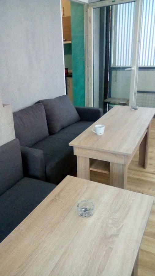 Apartmani Spasic Leskovac  Dış mekan fotoğraf